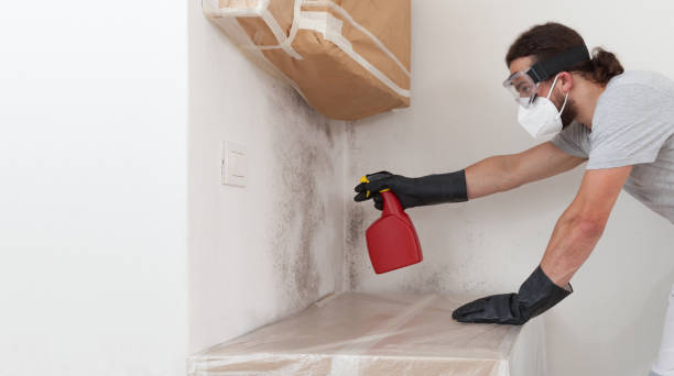 Professional Mold Remediation technician working in Naples, TX