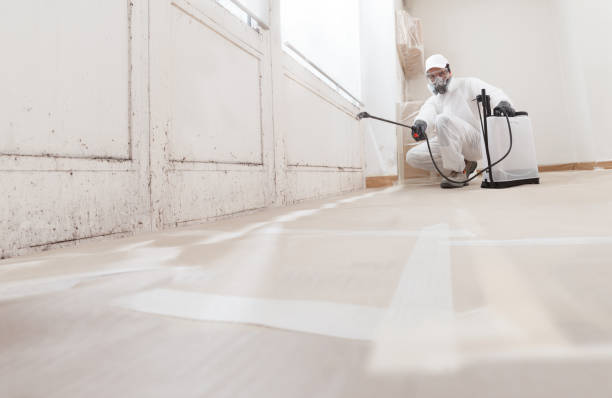 24/7 Emergency Mold Remediation experts in Naples, TX